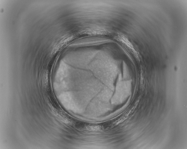 X0000086930202200705071401