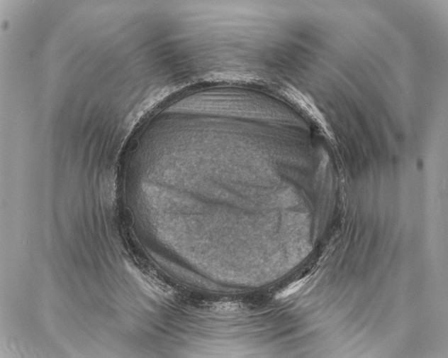 X0000086930204200705071401