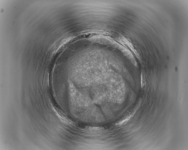 X0000086930205200705071401