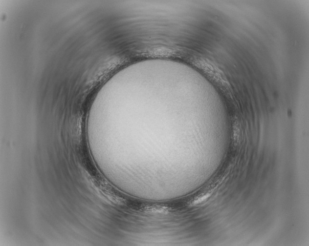 X0000086930206200705071401