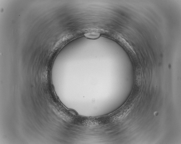 X0000086930207200705071401