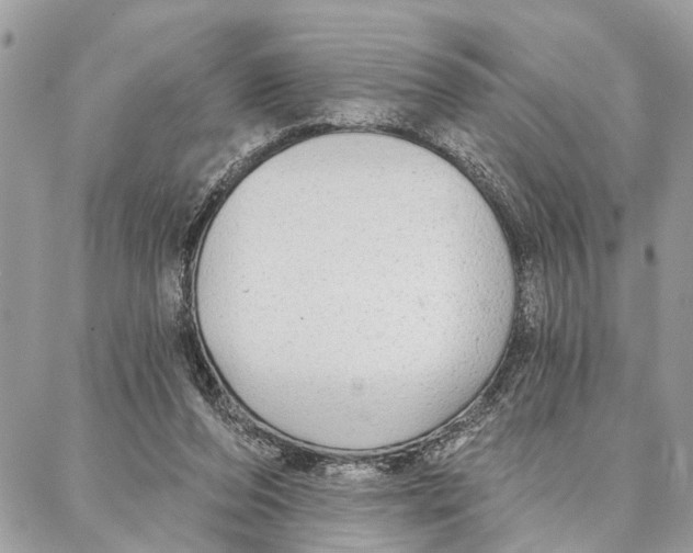 X0000086930208200705071401