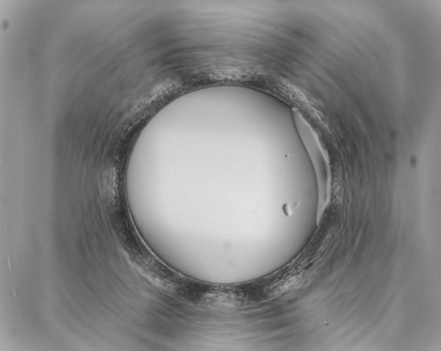 X0000086930211200705071401