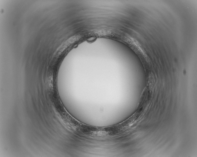 X0000086930212200705071401