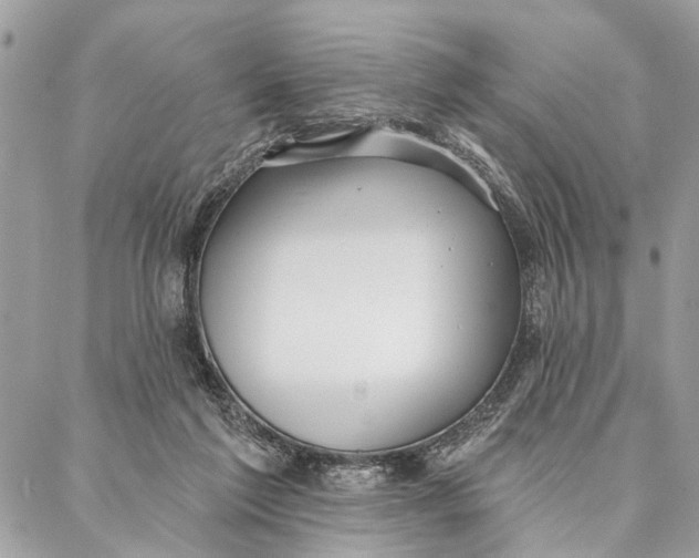 X0000086930213200705071401