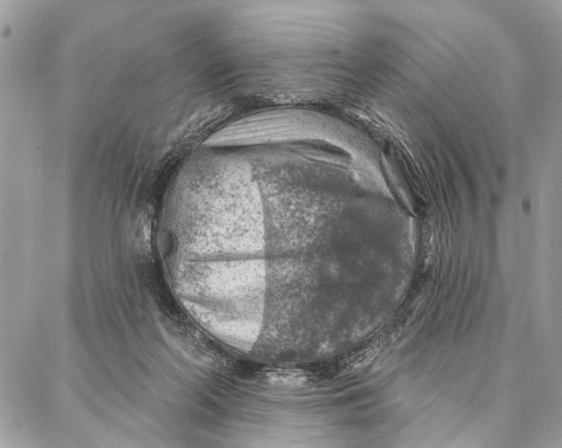 X0000086930214200705071401