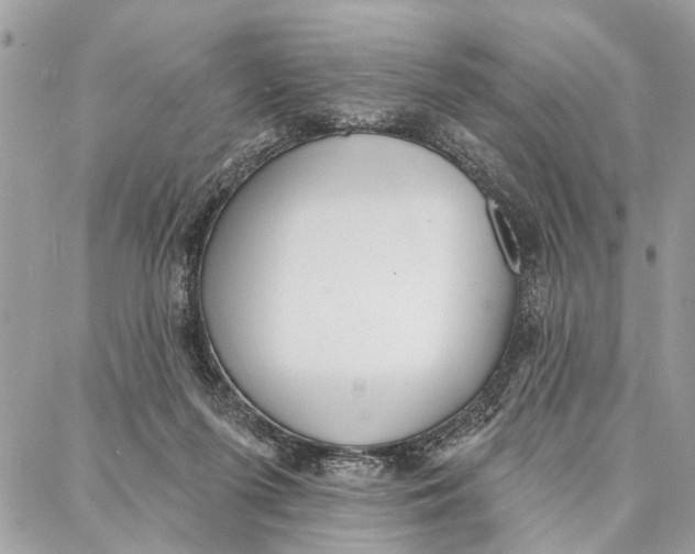 X0000086930215200705071401