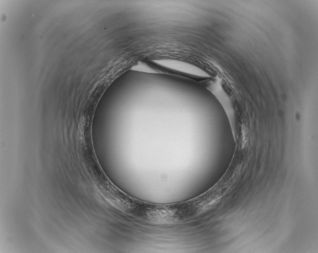 X0000086930217200705071401