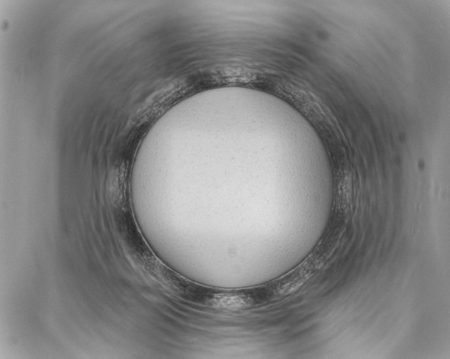 X0000086930218200705071401