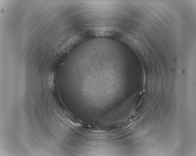 X0000086930219200705071401