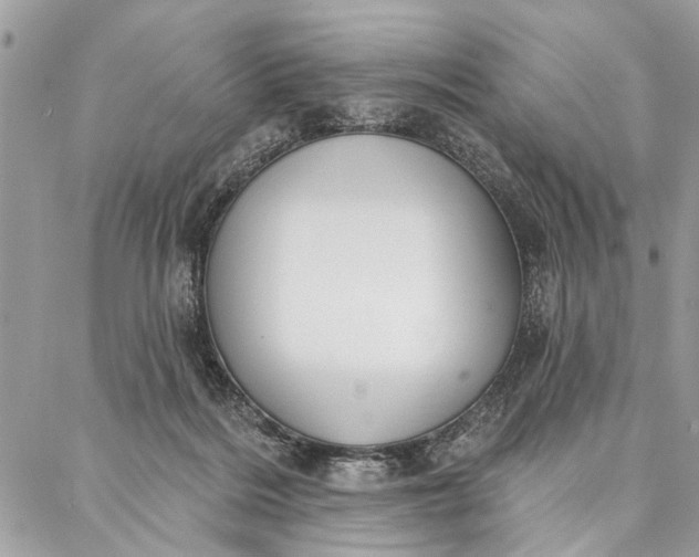 X0000086930220200705071401