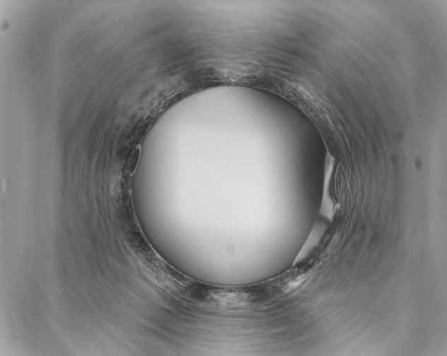 X0000086930221200705071401