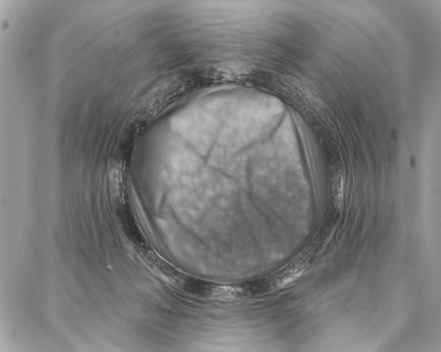 X0000086930222200705071401