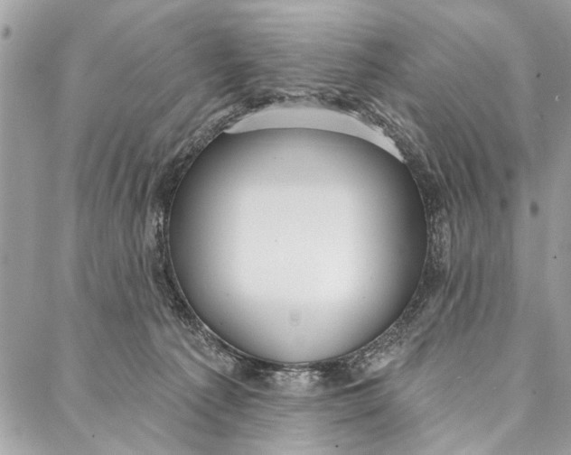 X0000086930225200705071401