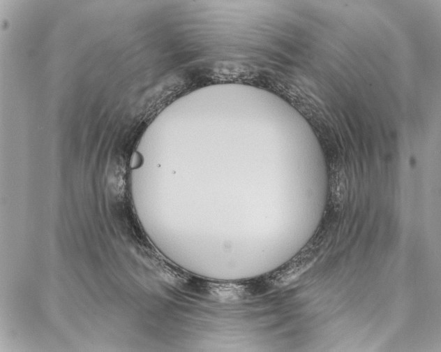 X0000086930226200705071401