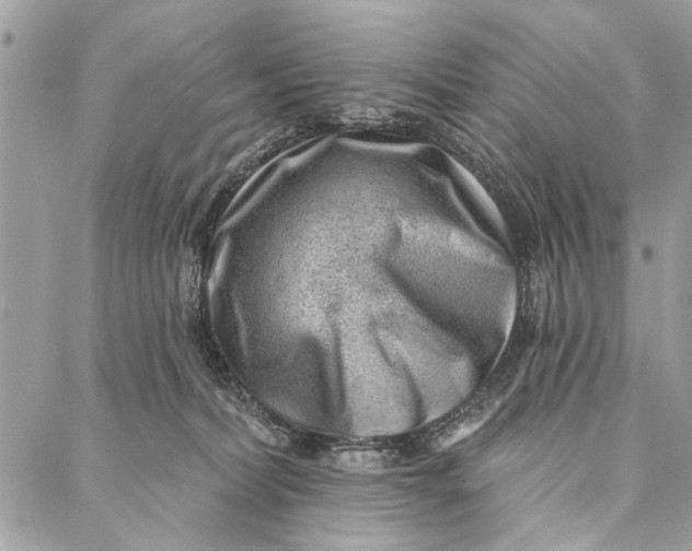 X0000086930228200705071401