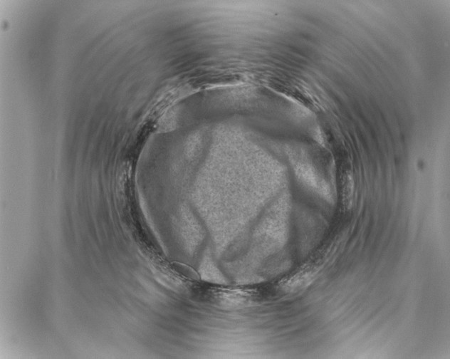 X0000086930229200705071401