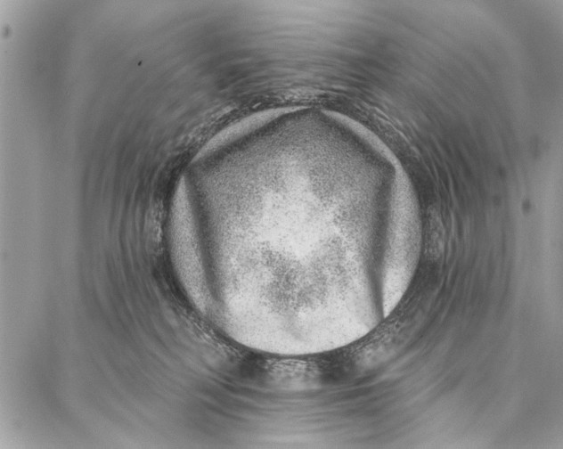 X0000086930230200705071401