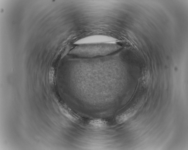 X0000086930231200705071401