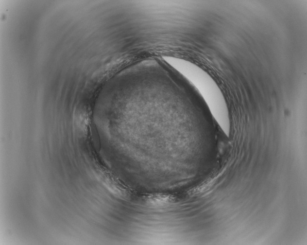 X0000086930235200705071401