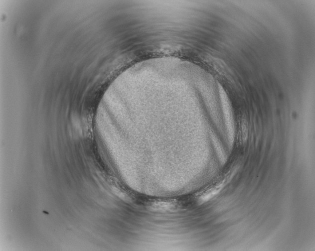 X0000086930236200705071401