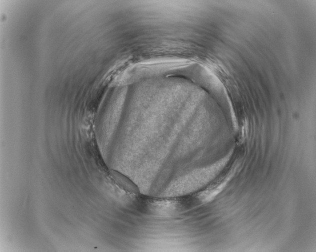 X0000086930237200705071401