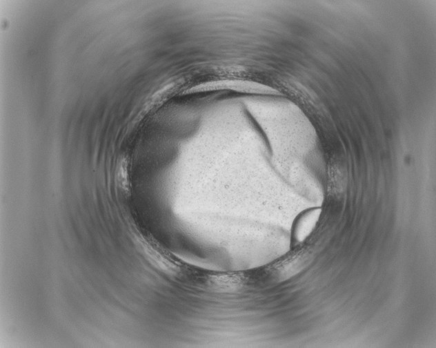 X0000086930238200705071401