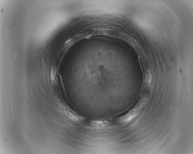 X0000086930239200705071401