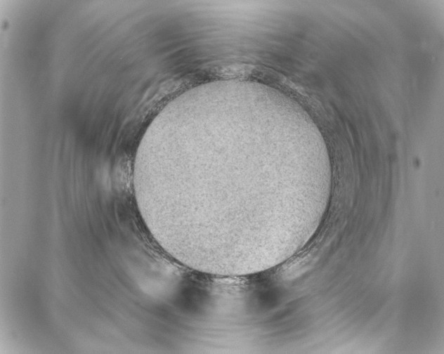 X0000086930240200705071401