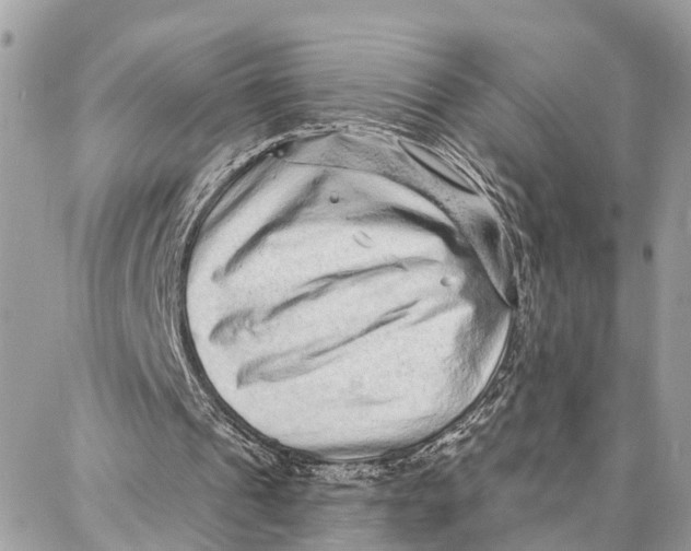 X0000086930241200705071400