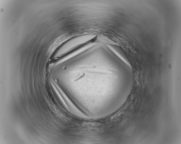 X0000086930242200705071400