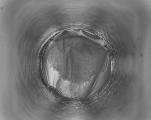 X0000086930243200705071400