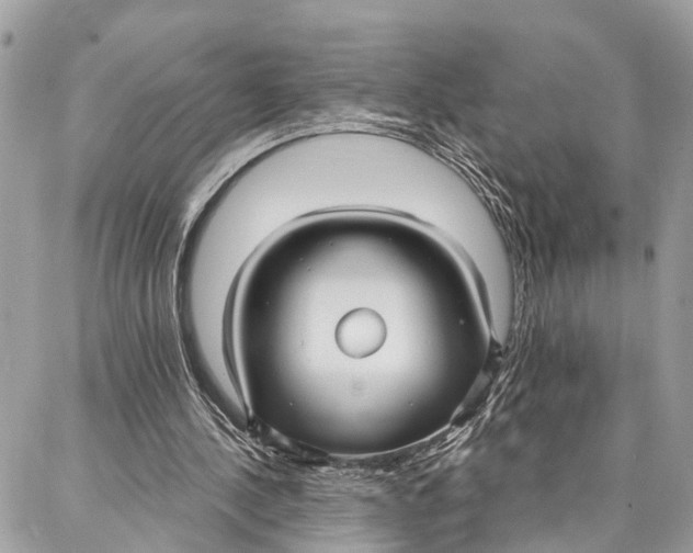 X0000086930244200705071400