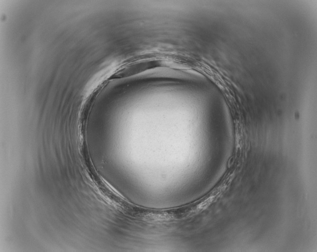 X0000086930245200705071400