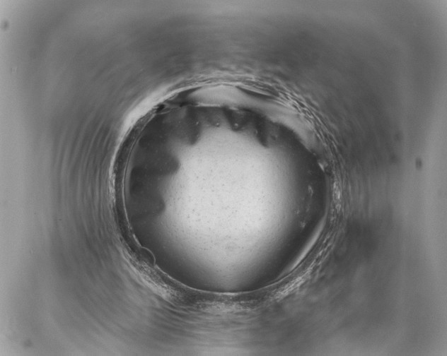 X0000086930246200705071400