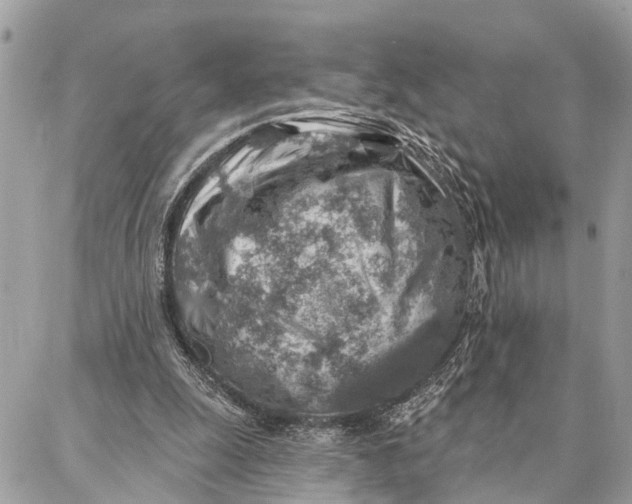 X0000086930247200705071400