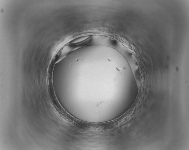 X0000086930248200705071400