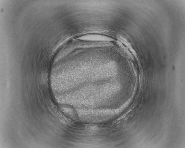 X0000086930249200705071400