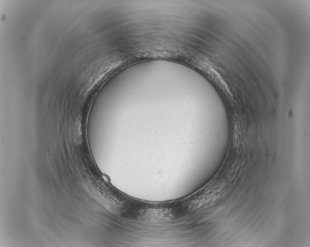 X0000086930251200705071400