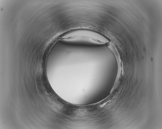 X0000086930252200705071400