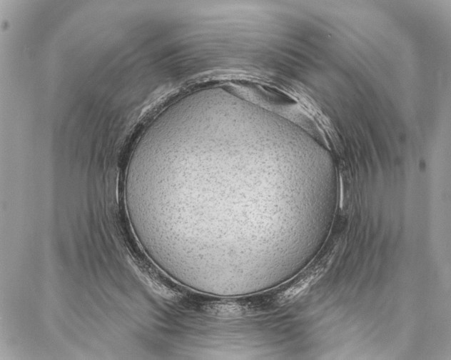 X0000086930253200705071400