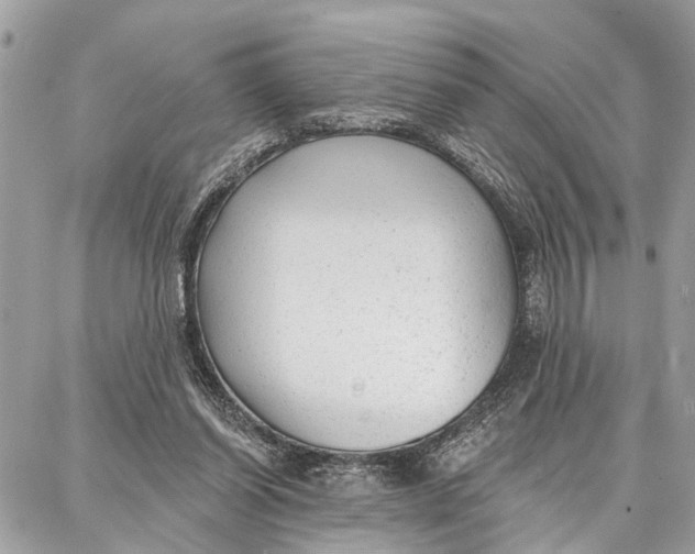 X0000086930254200705071400