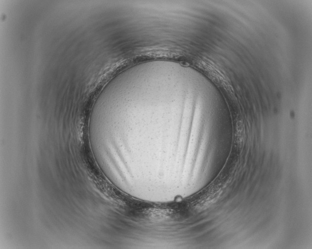 X0000086930255200705071400