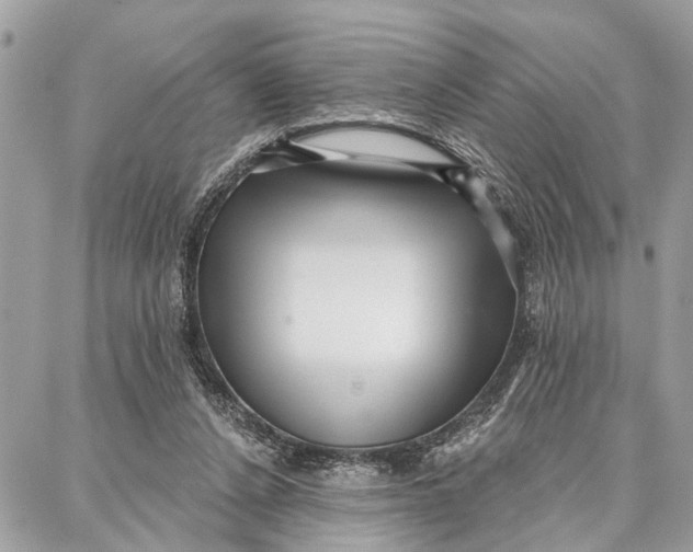 X0000086930256200705071400