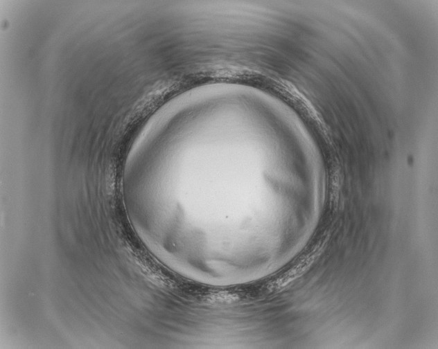 X0000086930257200705071400