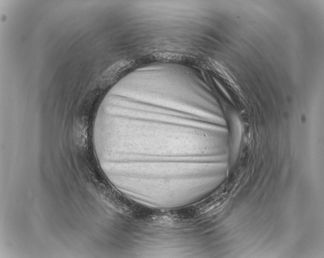 X0000086930259200705071400