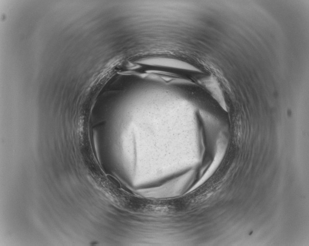 X0000086930260200705071400