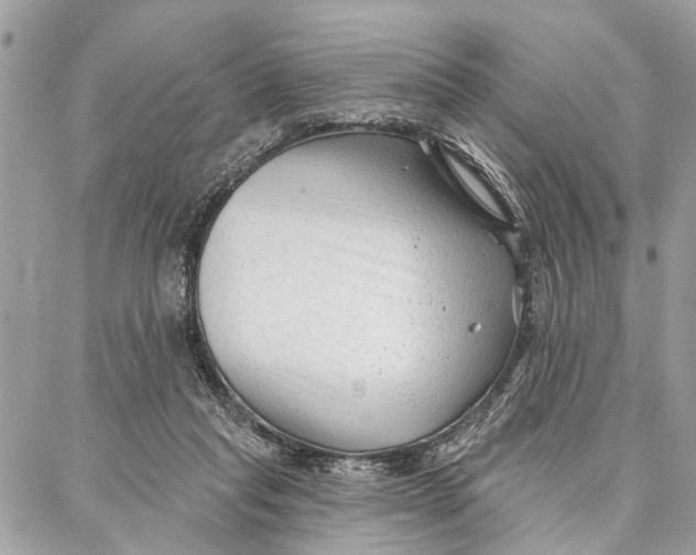 X0000086930261200705071400