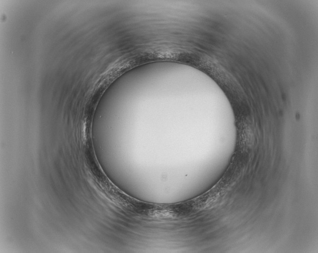 X0000086930262200705071400