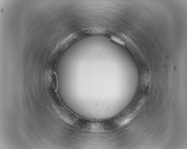 X0000086930264200705071400